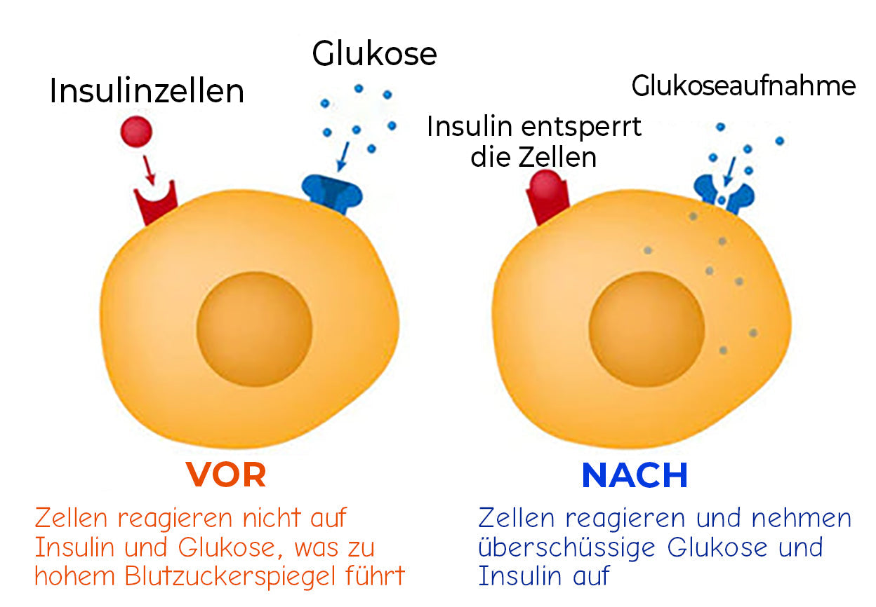 Futusly™ Blutzuckerregulation - medizinisches Gesundheitsarmband